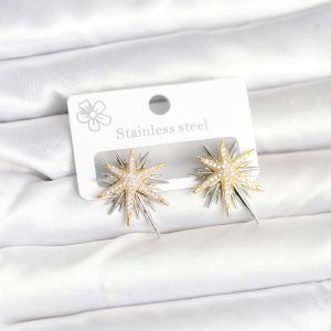 Pirinç Gümüş Renk Kutup Yıldızı Kadın Küpe