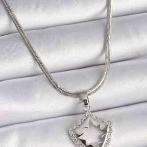 316L Çelik Gümüş Renk İtalyan Zincir Zirkon Taşlı Kutup Yıldızı İşleme Model Kadın Kolye