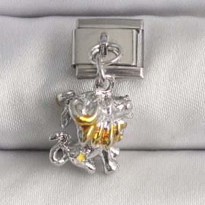 316L Çelik Gümüş Renk Sallantı Aslan Model Nomination Charm