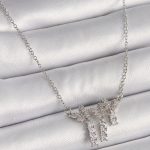 316L Çelik Gümüş Renk Zincir Zirkon Taşlı Kelebek Model Sallantı Detay Kadın Kolye