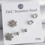 316L Çelik Gümüş Renk Zirkon Taşlı Kar Tanesi Model Kadın Küpe Seti