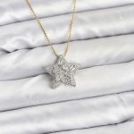 316L Çelik Zincir Gold Renk Zincirli Gümüş Yıldız Model Kadın Kolye