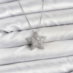 316L Çelik Zincir Gümüş Renk Zincirli Gümüş Yıldız Model Kadın Kolye