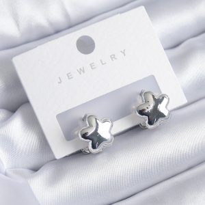 Gümüş Renk Yıldız Model Yıldız Model Pirinç Kadın Küpe