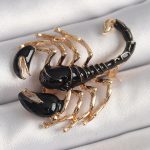 Pirinç Gold Renk Siyah Akrep Model Kadın Broş