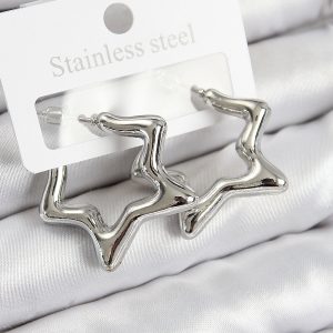 Pirinç Yıldız Model Gümüş Renk Kadın Küpe