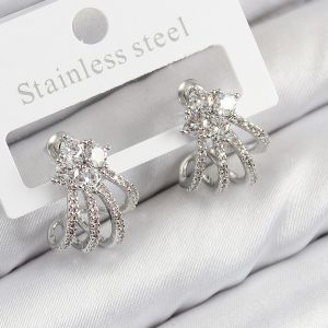 Pirinç Zirkon Taşlı Model Gümüş Renk Kadın Küpe