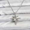 316L Çelik Zincir Gümüş Renk Kutup Yıldızı Model 60 cm Zincir Kadın Kolye